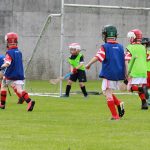 Blarney GAA