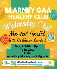 Blarney GAA