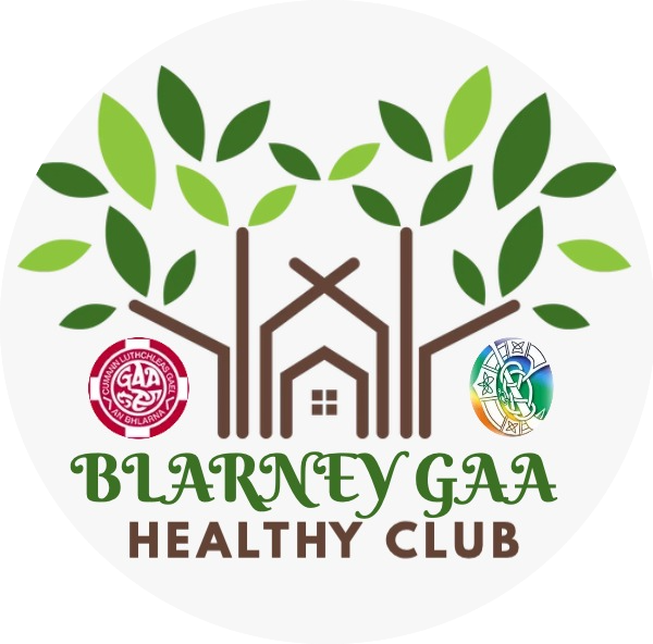 Blarney GAA Blarney GAA