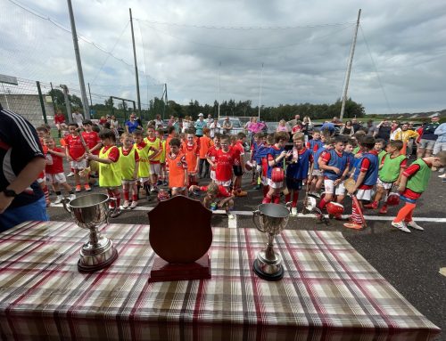 2023 Hurling Parish Leagues
