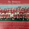Minor Hurling County Final History